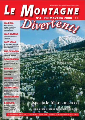 n.4 - Primavera 2008