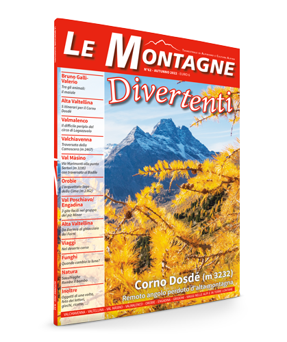 n.62 - Autunno 2022